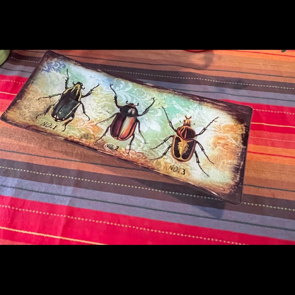 Decorative Scarab Beetle Tray